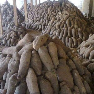 Yam